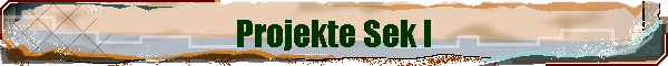 Projekte Sek I