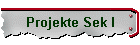 Projekte Sek I