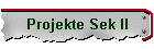 Projekte Sek II